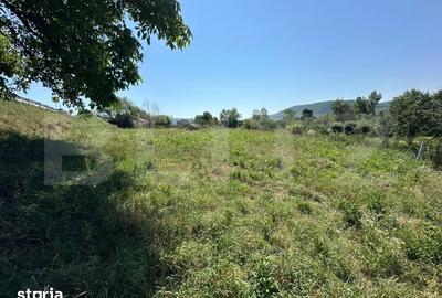 Teren de 1400 mp, în Șieu