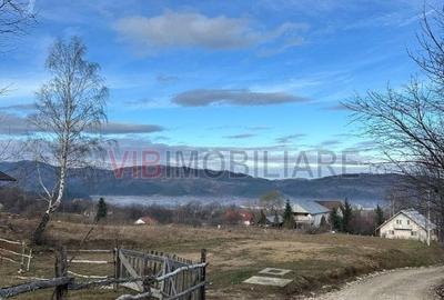 Teren intravilan de 16000 mp, în Zărnești - 2
