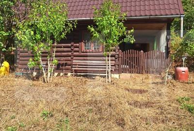 Teren Construcții extravilan de 4847 mp, în Nădrag