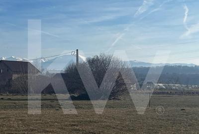 Teren Construcții intravilan de 712 mp, în Periferie - 6