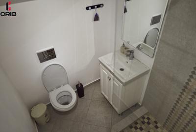Casă individuală cu 11 camere cu Teren 3300 Mp în Maliuc - 11
