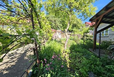 Casă cu 2 camere cu Canalizare în Gruia - 2