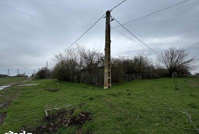 Casă cu 2 camere cu Teren 1586 Mp în Frăsinet - 5