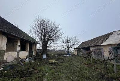 Teren de 1439 mp, în Măderat - 5