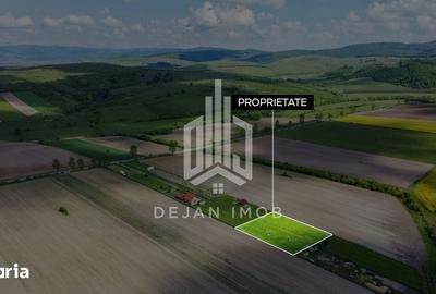 Teren de 687 mp, în Reci - 4