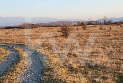 Teren agricol extravilan de 560 mp, în Cisnădie - 3