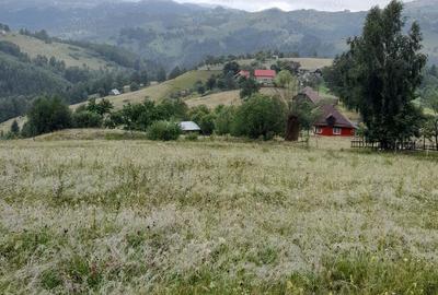 Teren de 8700 mp, în Bran - 2
