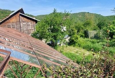 Casă cu 7 camere cu Teren 5000 Mp în Cernătești - 10
