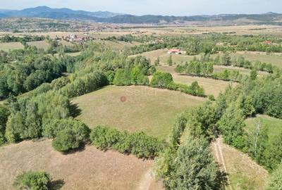 Teren Construcții intravilan de 10000 mp, în Sohodol - 12