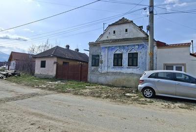 Casă cu 4 camere cu Teren 3000 Mp în Recea - 1