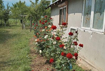 Casă cu 2 camere în Cătunu - 1