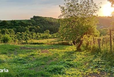 Teren de 1587 mp, în Rădășeni - 4