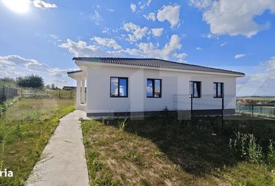 Casă cu 3 camere în Paleu
