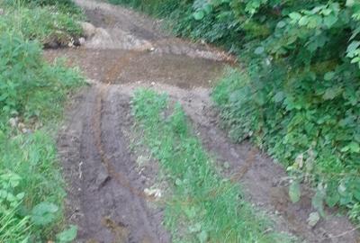 Teren agricol extravilan de 12421 mp, în Big-Bascov - 6