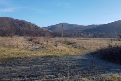 Teren de 40000 mp, în Balotești