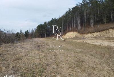 Teren de 1100 mp, în Florești - 3