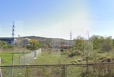 Teren Construcții intravilan de 2928 mp, în Viișoara