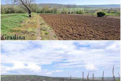 Casă cu 3 camere cu Teren 1947 Mp în Bâcu - 6