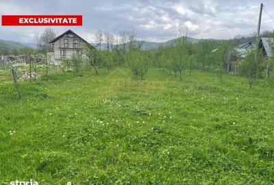 Teren de 12500 mp, în Drajna