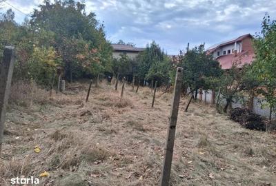 Teren de 1000 mp, în Bucium