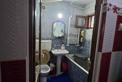 Apartament cu 2 camere semidecomandat în Podu Roș - 7
