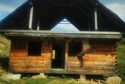Casă cu 4 camere în Horea - 3