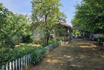 Casă individuală cu 3 camere cu Teren 4050 Mp în Valea Dragului