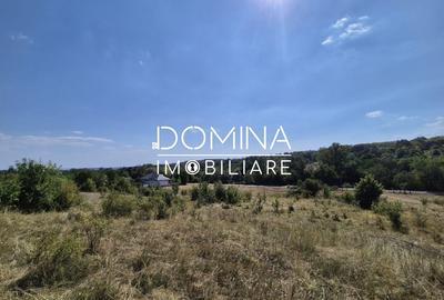 Teren Construcții intravilan de 13000 mp, în Runcu - 6