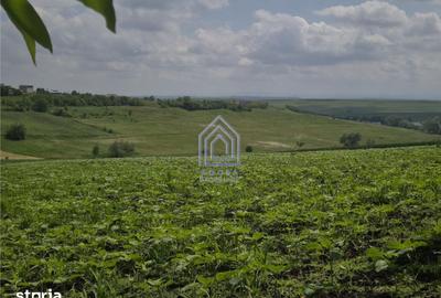 Teren de 2000 mp, în Moara - 7