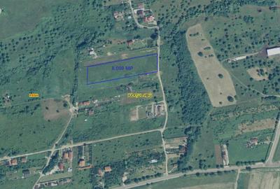 Teren Construcții de 8000 mp, în Daia Nouă - 5