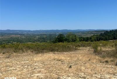 Teren de 27400 mp, în Holod