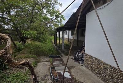 Spațiu industrial, de 1,700 mp, în Medieșu Aurit - 2