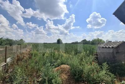 Casă cu 2 camere cu Teren 2880 Mp în Gelu