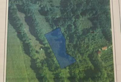 Teren Construcții intravilan de 1773 mp, în Urleta - 5