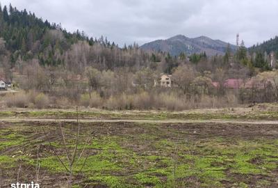 Teren de 22600 mp, în Sucevița - 2