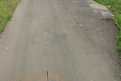 Teren de 10000 mp, în Lunca