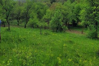 Teren de 3530 mp, în Vârfuri - 8