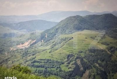 Teren de 30858 mp, în Ocoliș - 1