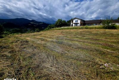 Teren de 600 mp, în Alexandru cel Bun