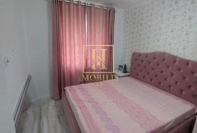 Apartament cu 2 camere semidecomandat, mobilat în Podul de Piatră - 2