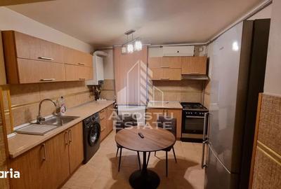 Apartament cu 3 camere, mobilat în Iosefin