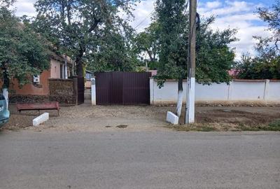 Casă cu 3 camere în Zădăreni