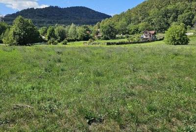Teren de 1434 mp, în Alexandru cel Bun - 3