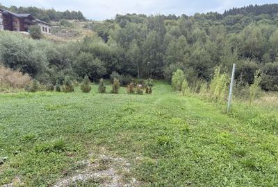 Teren Construcții intravilan de 971 mp, în Făget - 1