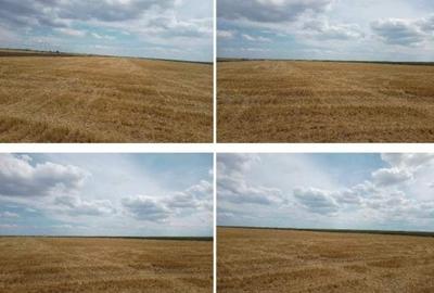 Teren agricol extravilan de 22810 mp, în Frumușani - 1