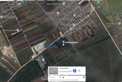 Teren de 30000 mp, în Brazi - 6