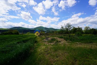 Teren Construcții intravilan de 9000 mp, în Vânători - 10