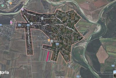 Teren de 3900 mp, în Horia - 3