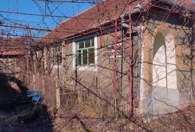 Casă în Săldăbagiu Mic - 1