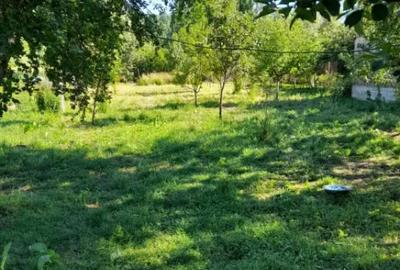 Casă cu 2 camere cu Teren 1800 Mp în Central